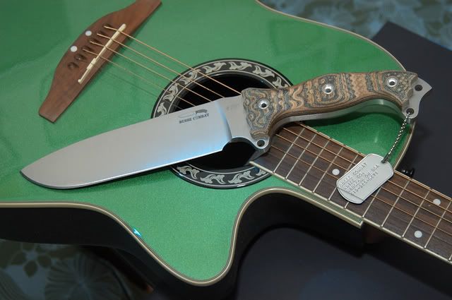 BusseGuitar.jpg