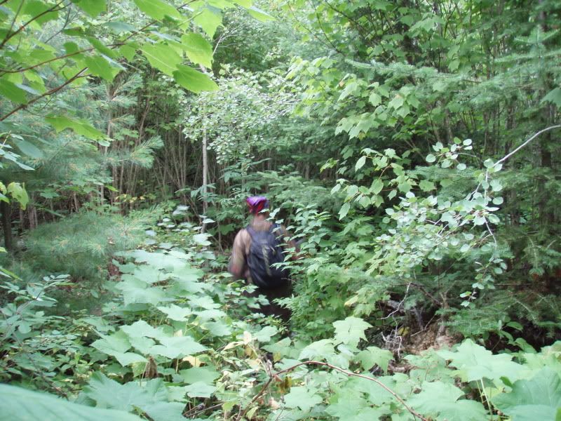 bwca2010hike090.jpg
