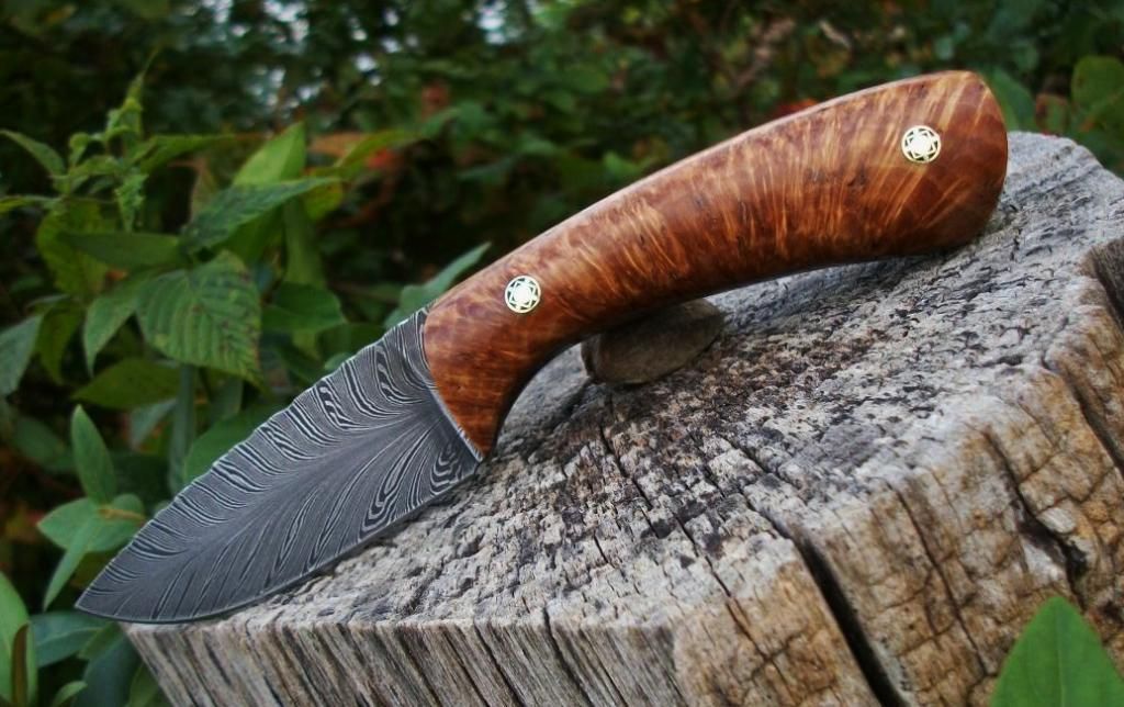 FEATHER029.jpg
