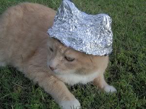 alum_cat_zps0a350ee6.jpg