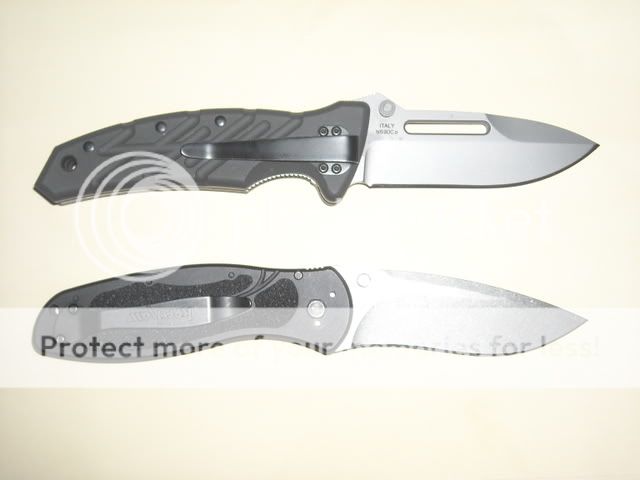 DSCN0541.jpg