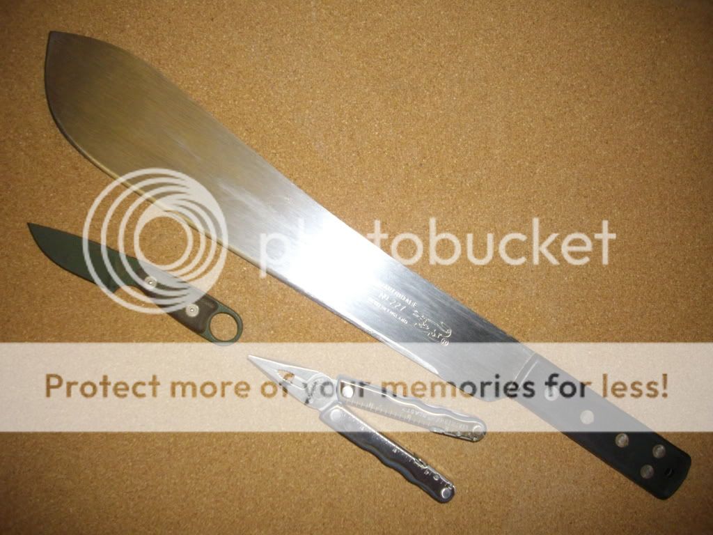 IMGP5696.jpg