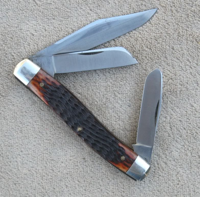 880_bone_b1.jpg