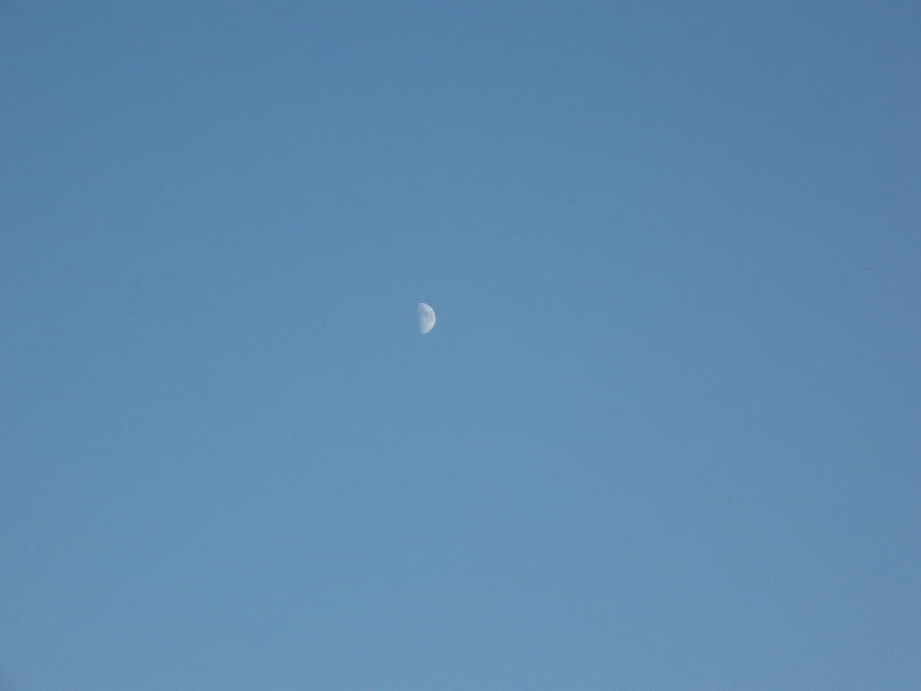 IMG_5819.jpg