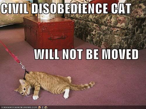 funny-pictures-civil-disobedience-c.jpg