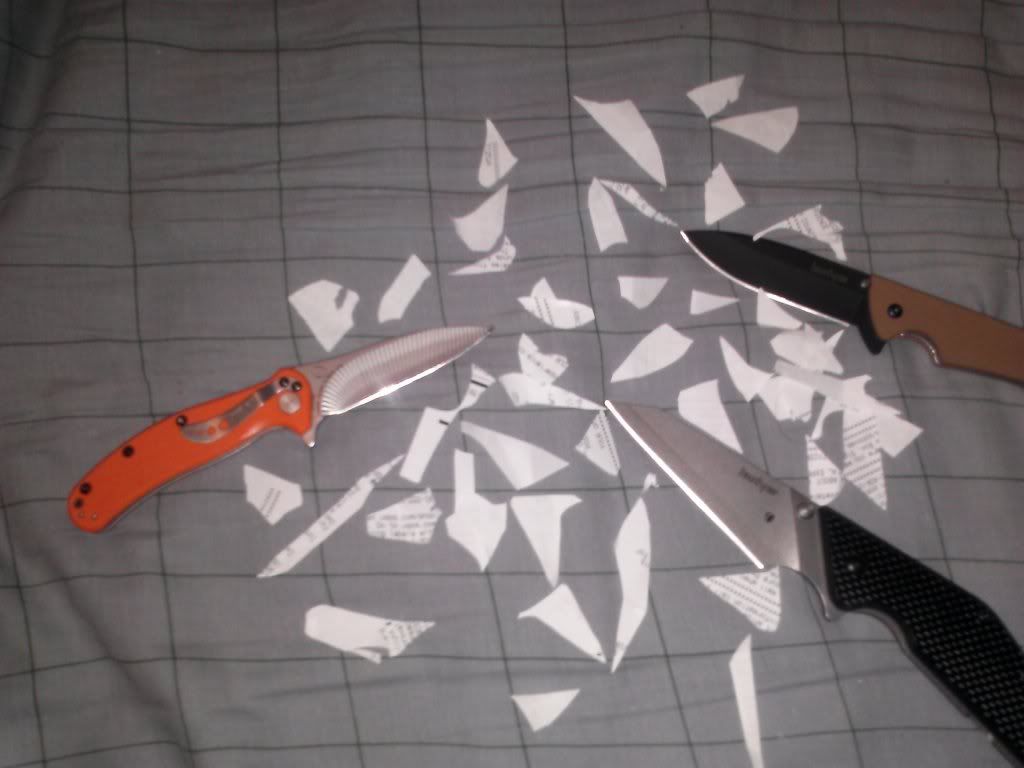 CAM00341_zpsb8a447ae.jpg