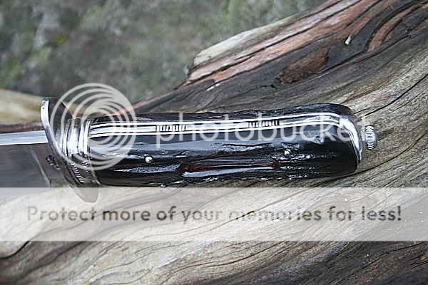 IMG_2178_opt%20forum_zpswgapwss7.jpg