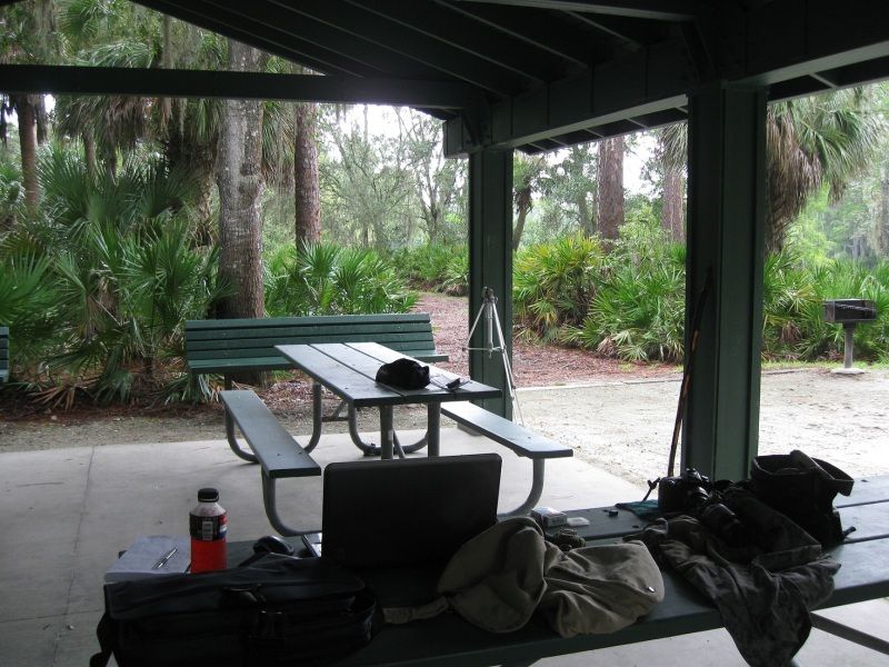 IMG_1838.jpg