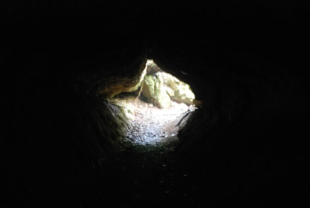 DSC_0384.jpg