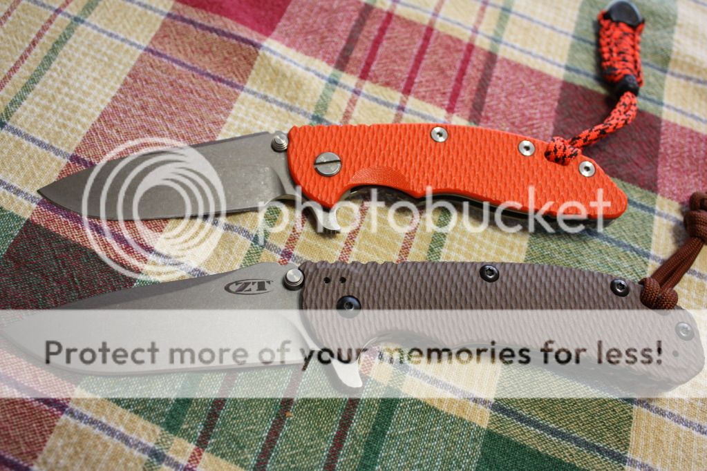 IMG_1202.jpg