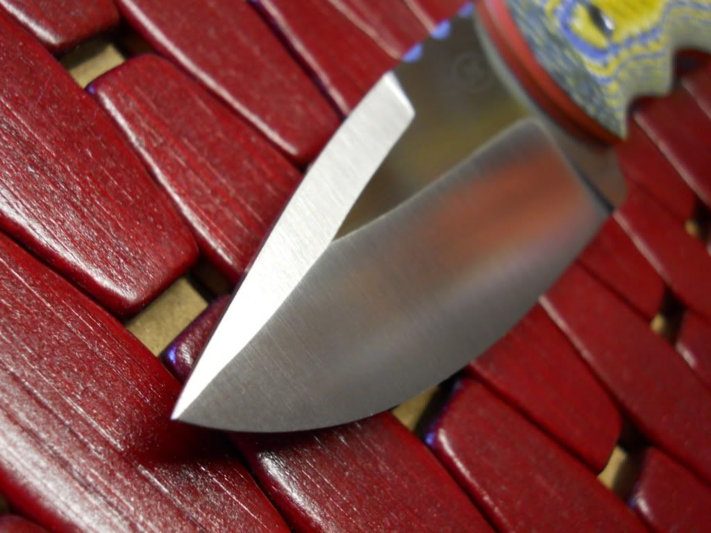 9-17-2012MiniDropPointXLCPM154025.jpg