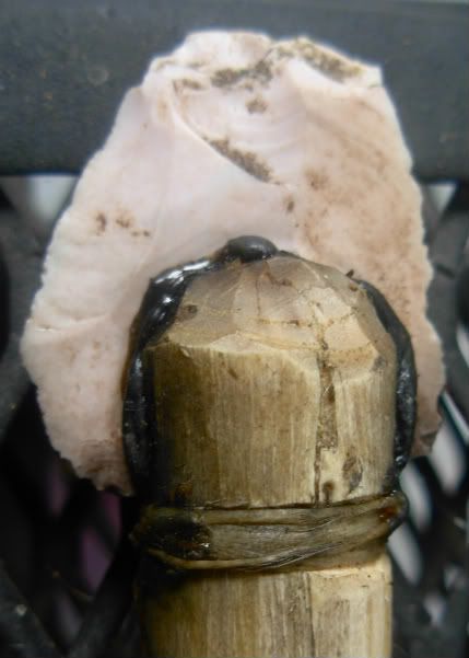 DSCN9586.jpg