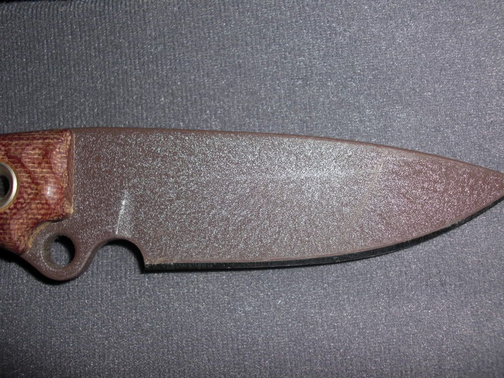 CIMG0347.jpg