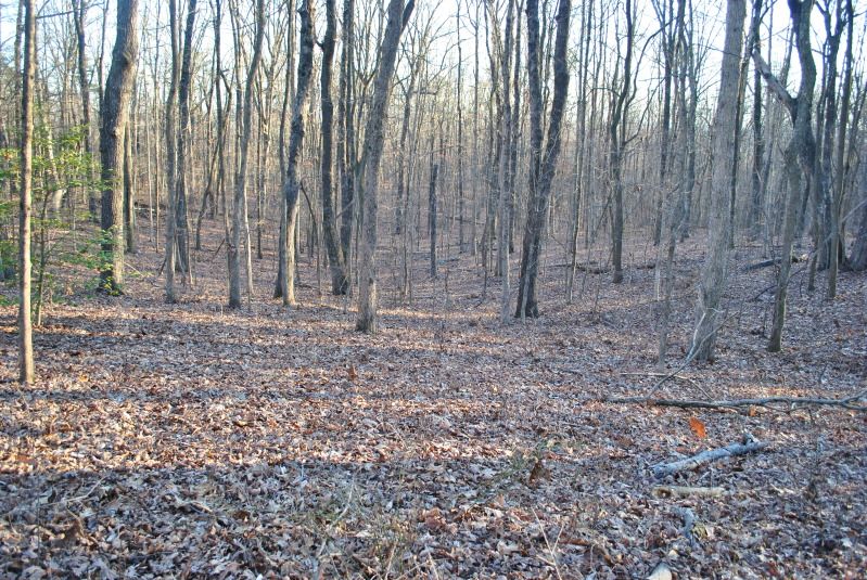 DSC_9479.jpg