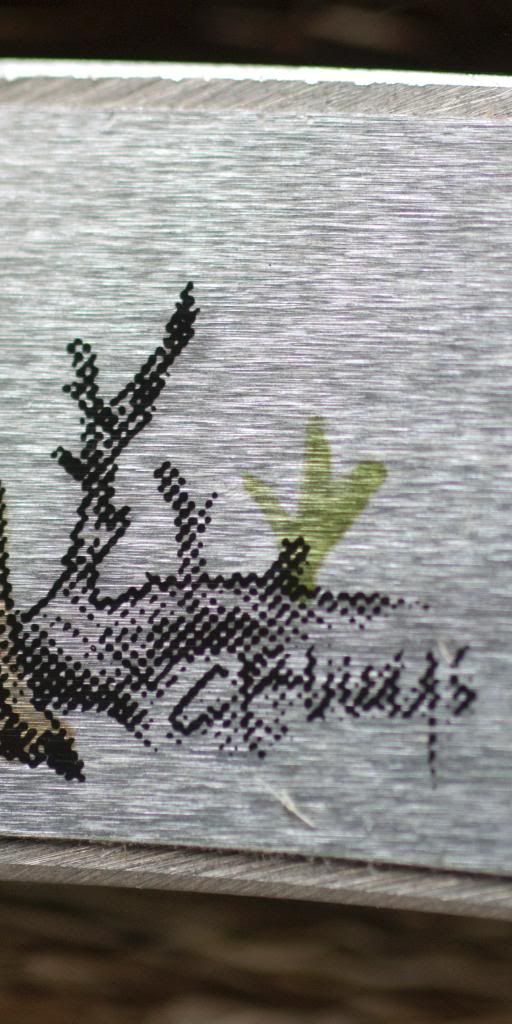 Buck525DeerAusschn3.jpg