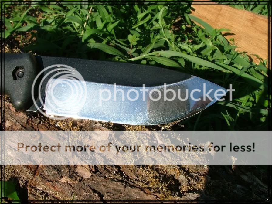 DSCF3723.jpg