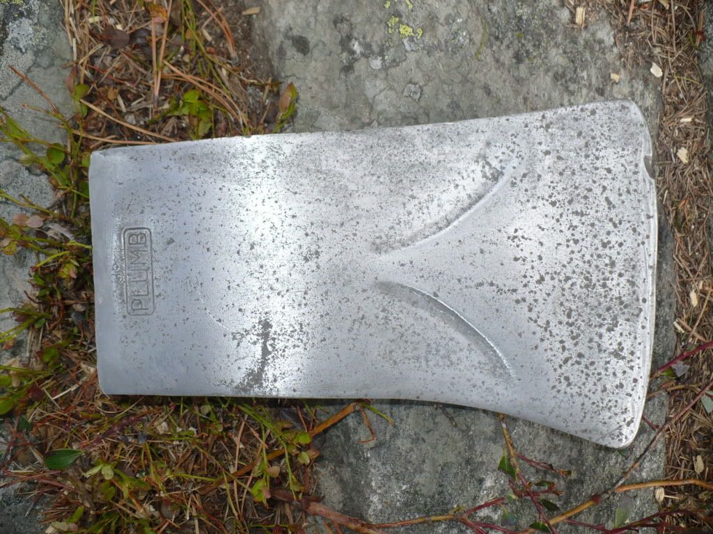 P1020168.jpg