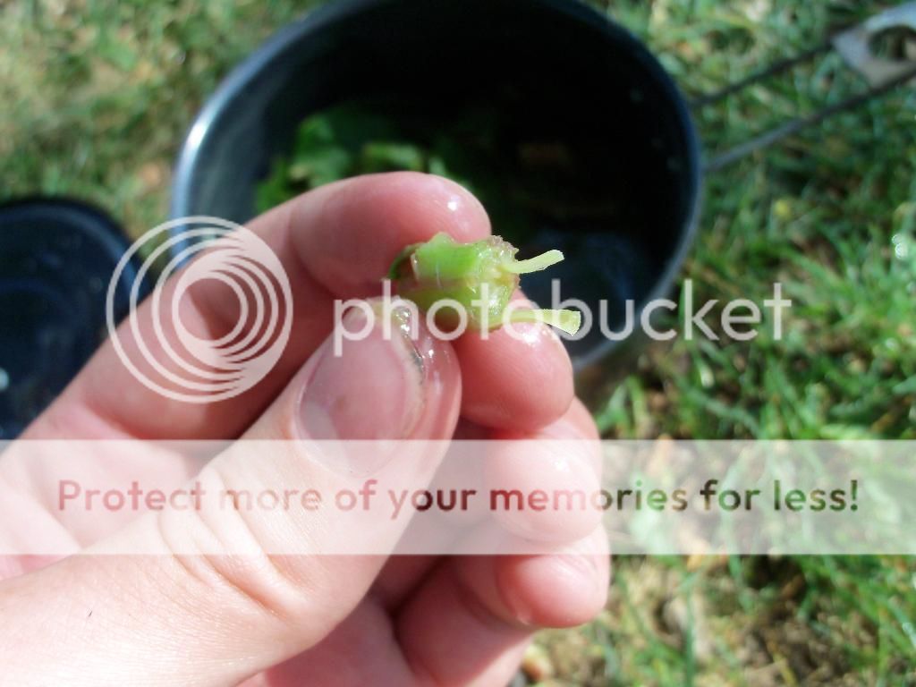 100_5256.jpg