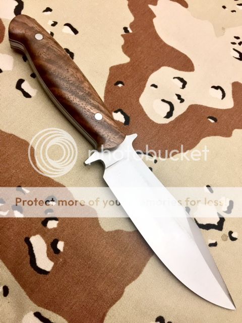Bowie2_zpsjr56jvky.jpg