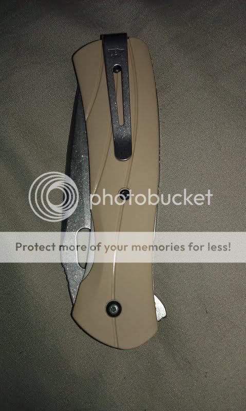 Buck2.jpg