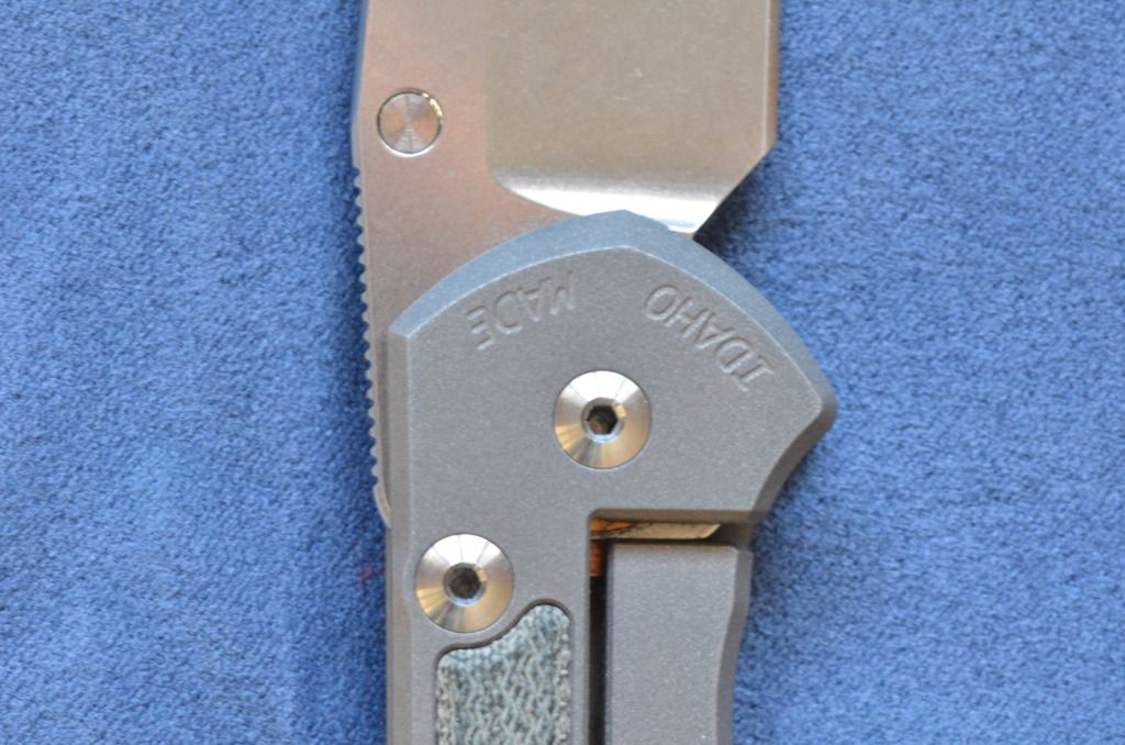 ASR_5890.jpg