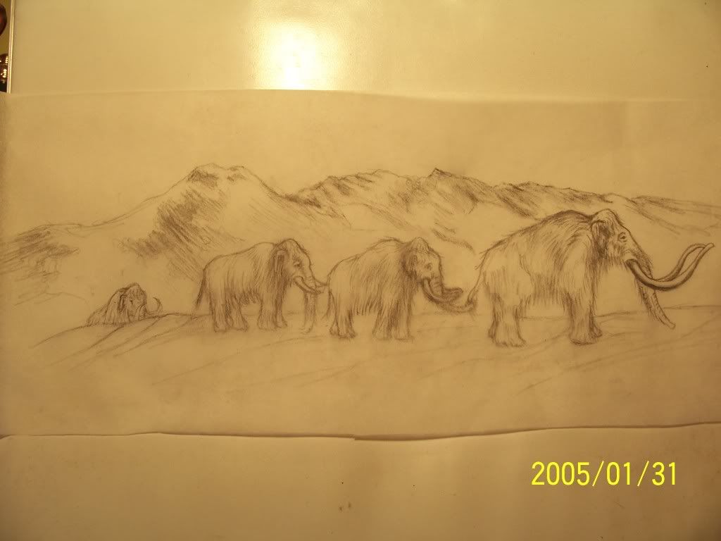 100_2035.jpg