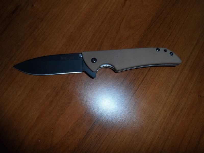 1029089a.jpg