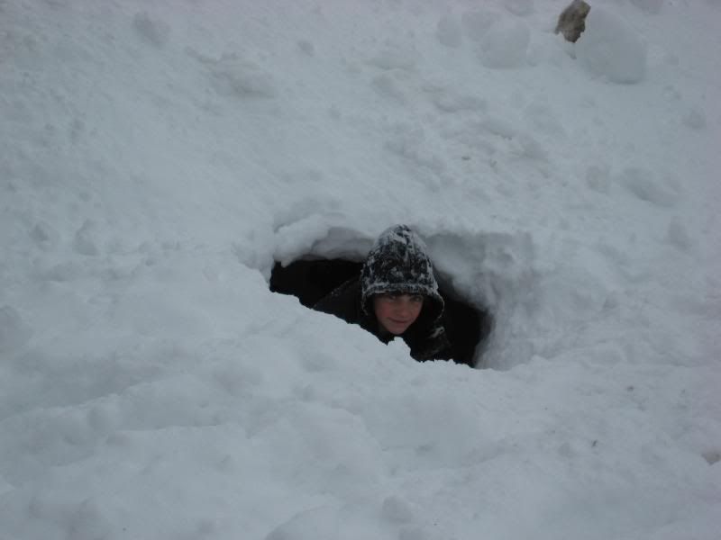 december08snow003.jpg