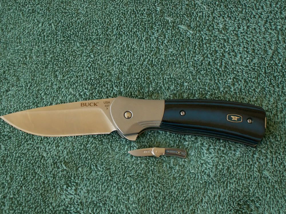 PandMiniP-1.jpg