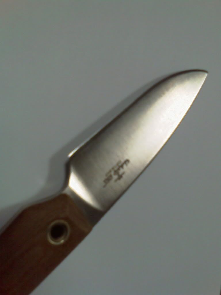 IMAG0160.jpg