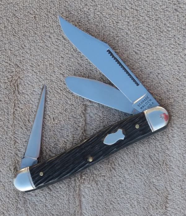 883_MS-1.jpg