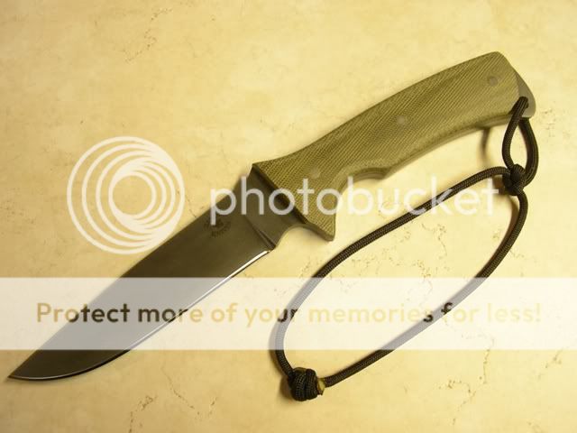 IMGP1160.jpg