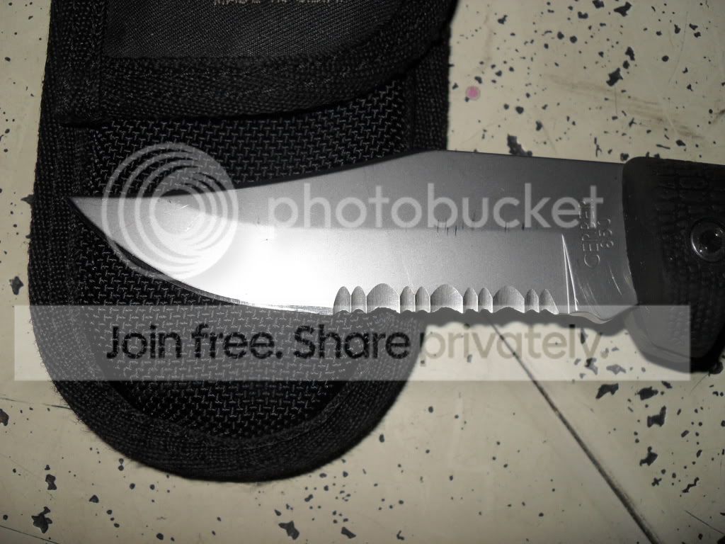 SDC12408.jpg