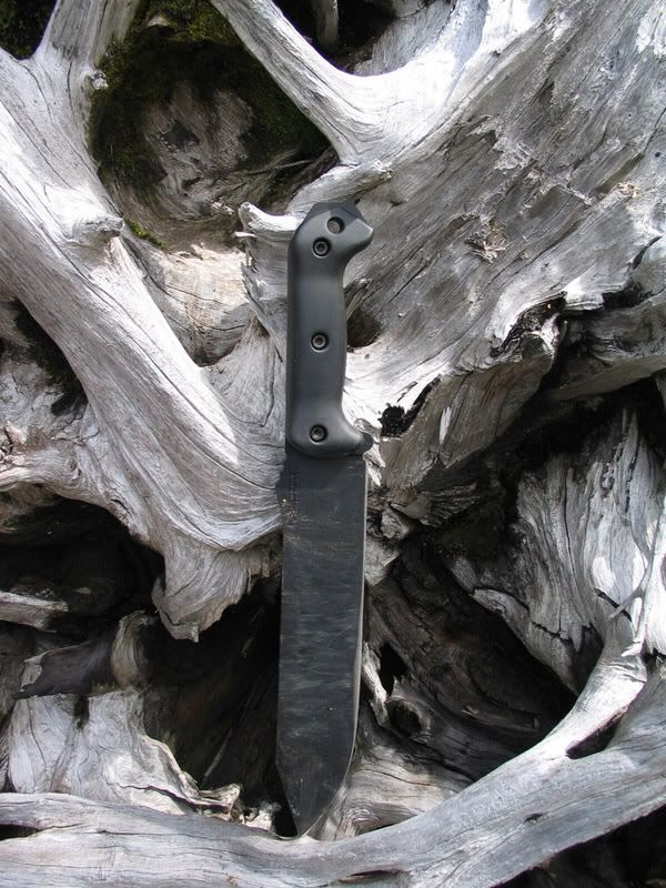 BK9_wood.jpg