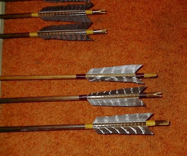 Myarrows3.jpg