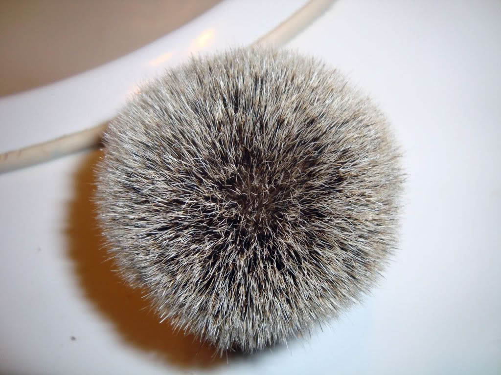 DSC02022.jpg