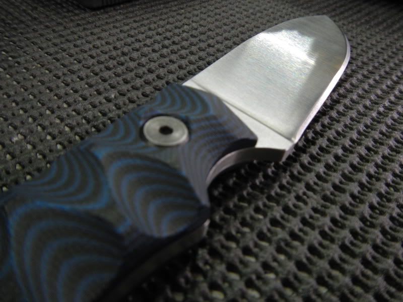 DSCN0596.jpg