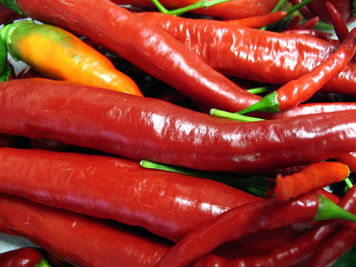 chili-pepper-madness.jpg