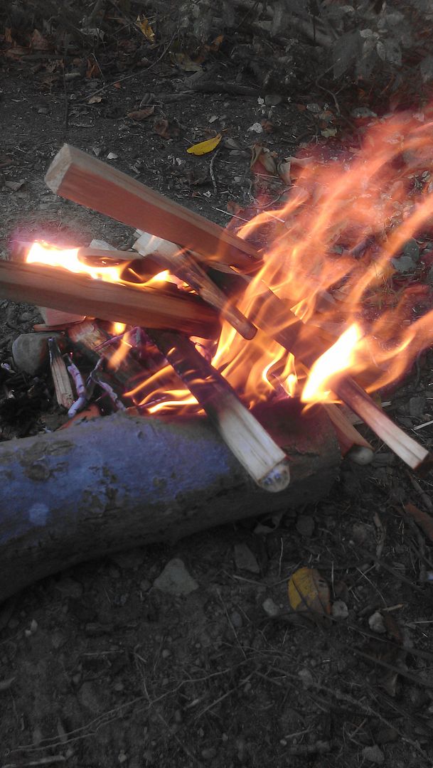 IMAG3378_zps65812c1c.jpg