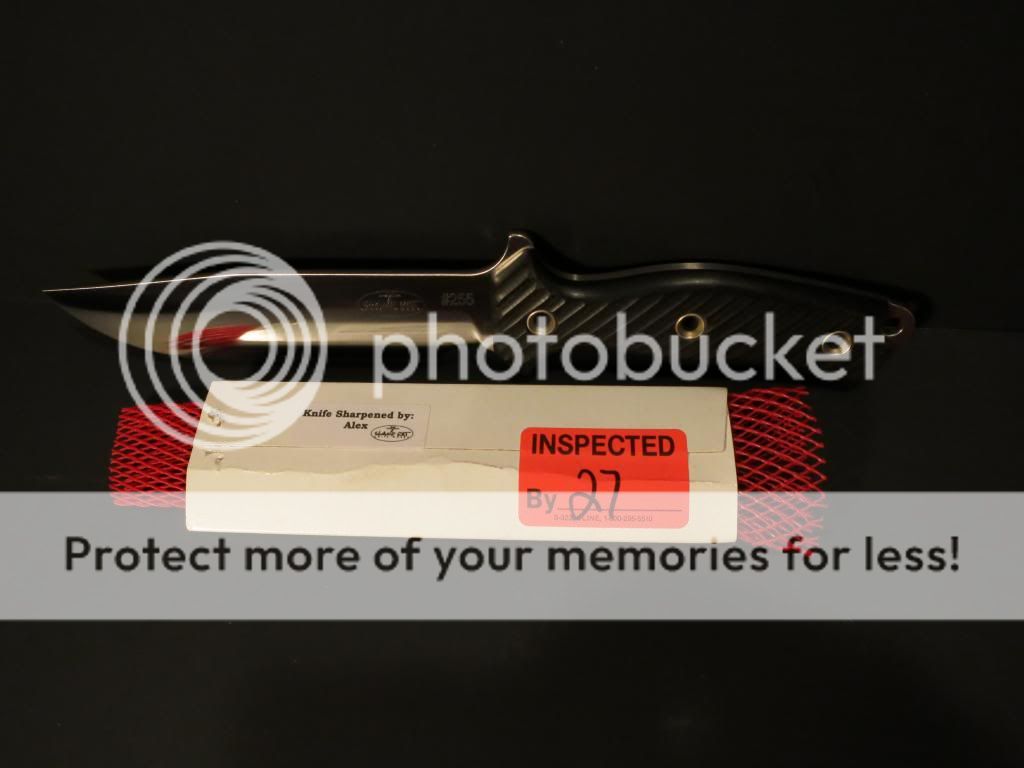 IMG_0654_zps79eafcdc.jpg