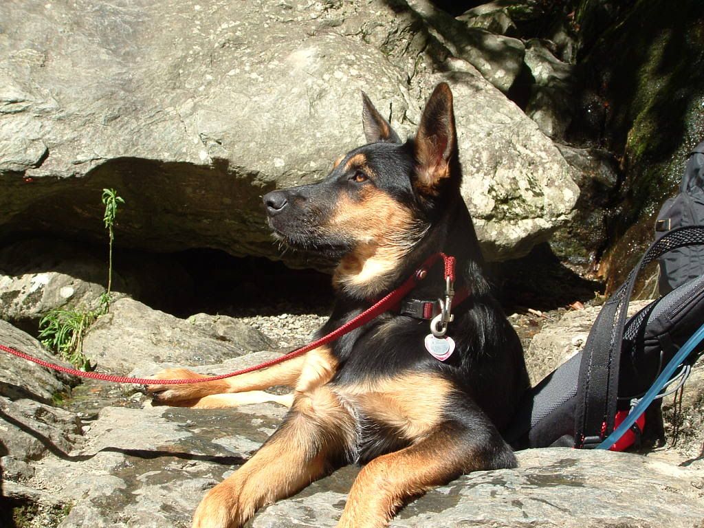 DSCF0226.jpg