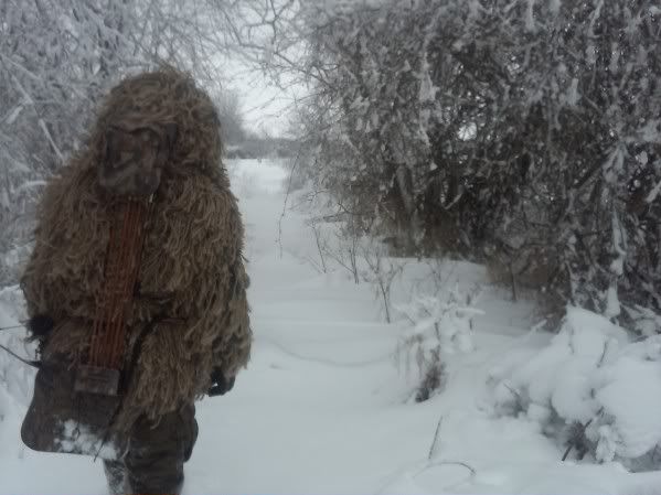 winter_wookie.jpg