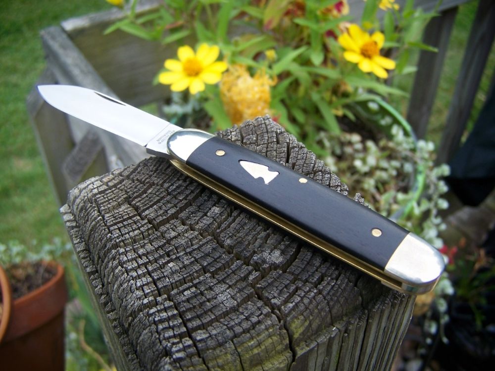 NorthwoodsIRJ_ebony_00.jpg