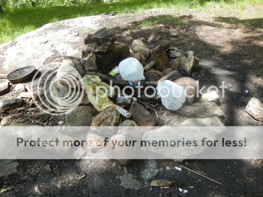 Newpics091.jpg