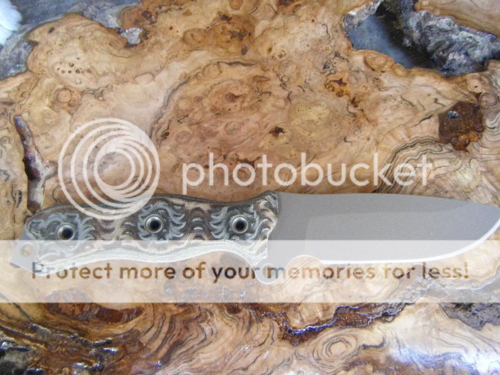 burl018.jpg