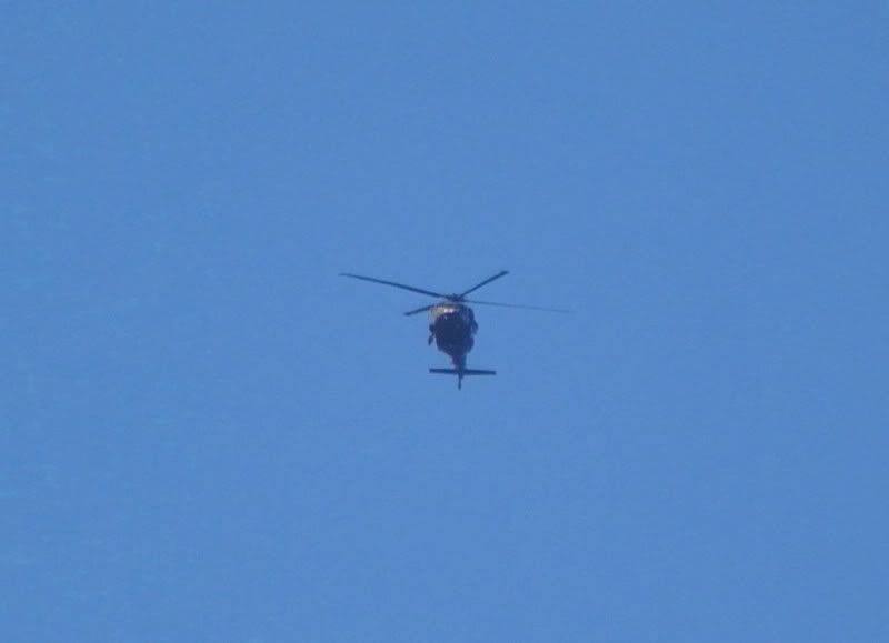 DSC_0126.jpg