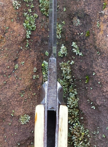 IEF024i.jpg