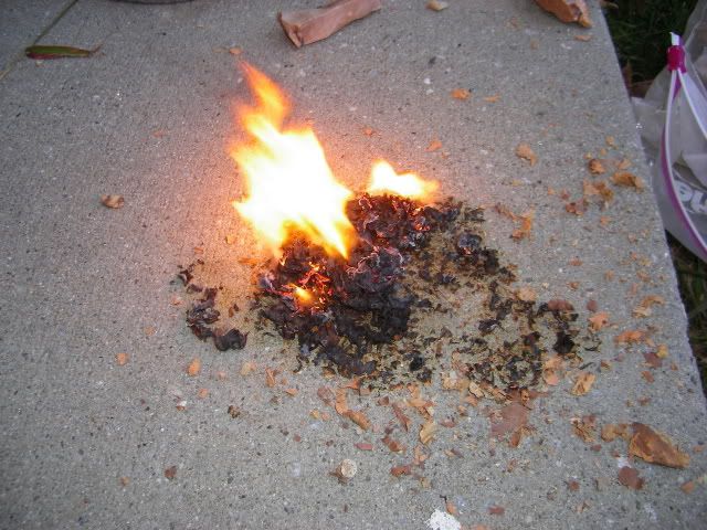 birchbark.jpg