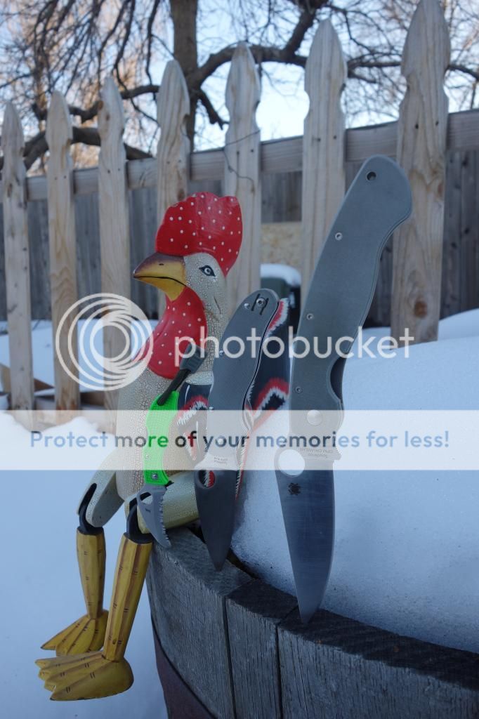 DSC00768_zps6tma7rs6.jpg