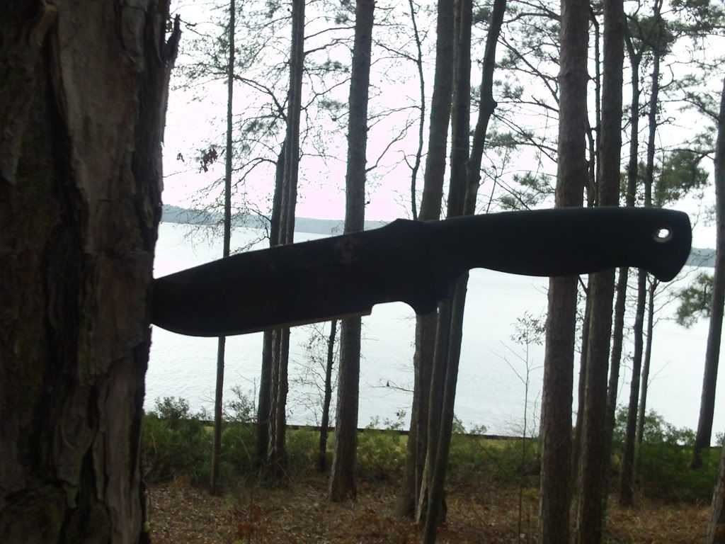 campin017.jpg